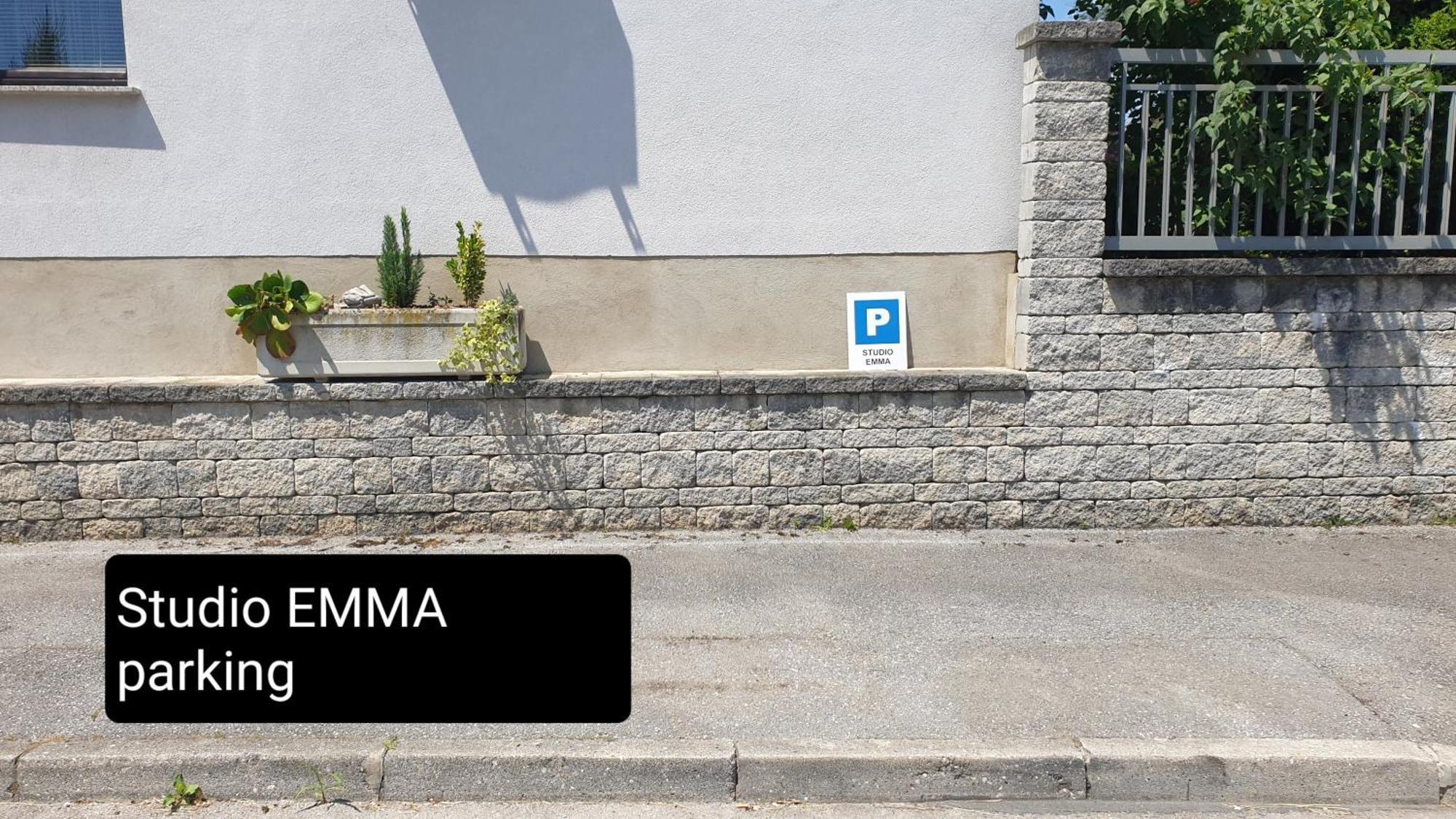 Studio Emma Ljubljana - Free Parking, Ac, Wifi Liubliana Exterior foto
